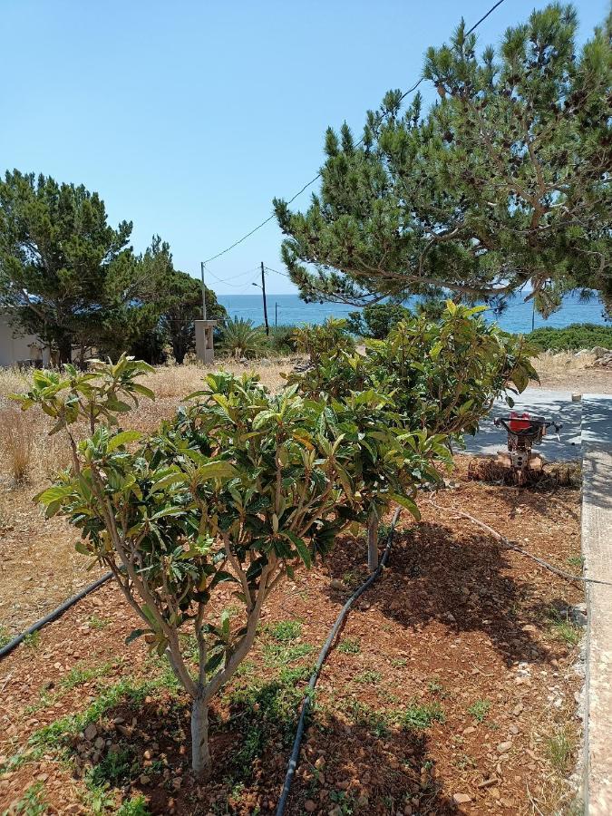 Vila Sea View Pine House Makrýgialos Exteriér fotografie