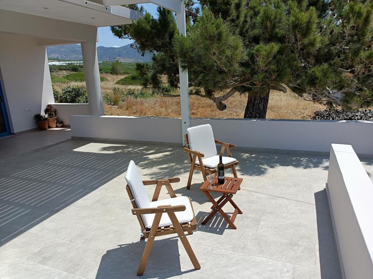 Vila Sea View Pine House Makrýgialos Exteriér fotografie